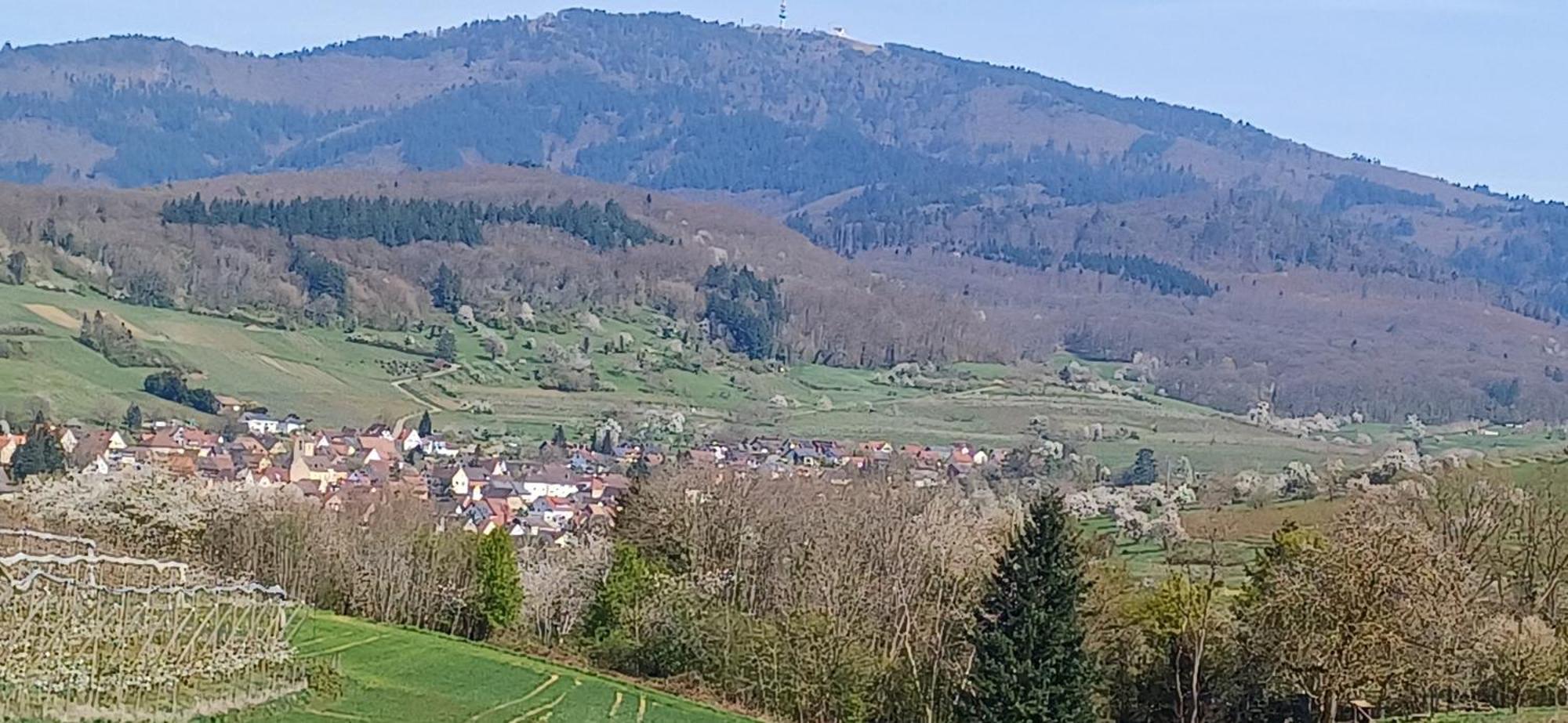 Ferienwohnung Am Blumengaessle Mullheim  Exteriér fotografie