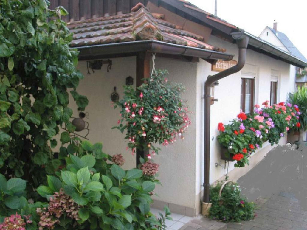 Ferienwohnung Am Blumengaessle Mullheim  Exteriér fotografie